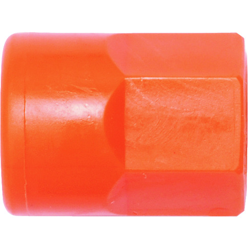 Loc-Line 1/4“插座x 1/8” NPT女螺钉x 20 NL49431