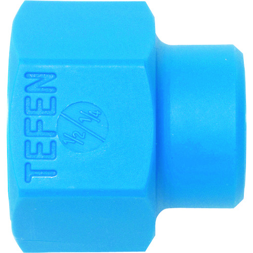 loc-line tefen 1/2“ -1/4”雌性螺纹管Reeducer x 20件 NL51759