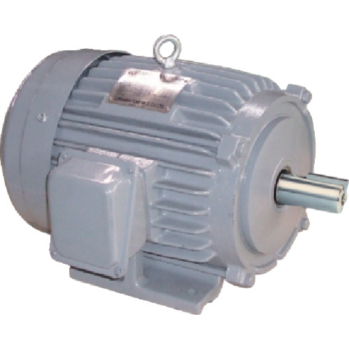 Torishima [特价出售] IE3电动机37kW 4p 200V 50/60Hz TU3-37KW-4P-200V